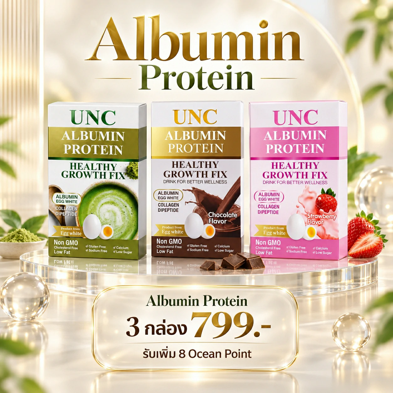 Promotion UNC
