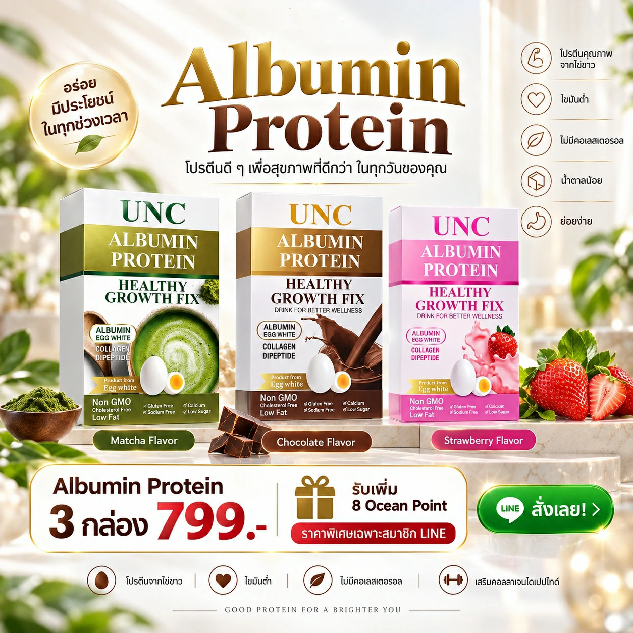 Promotion UNC